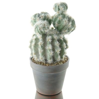 DPI Kugel - Kaktus im braun-washed Topf - Kunstblumen