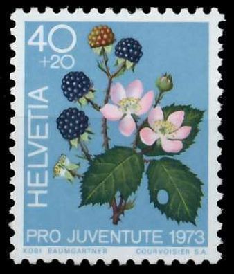 Schweiz PRO Juventute Nr 1015 postfrisch S2D42B6