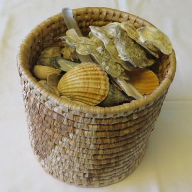 Muschel-Sammlung * Muscheln und Schnecken * im Bastkorb * ca. 1500 Gramm