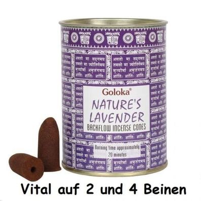 Goloka Backflow Weihrauchkegel Lavendel * Räuchern * Aromatherapie *