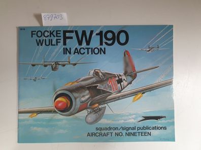 Focke Wulf FW190 in Action
