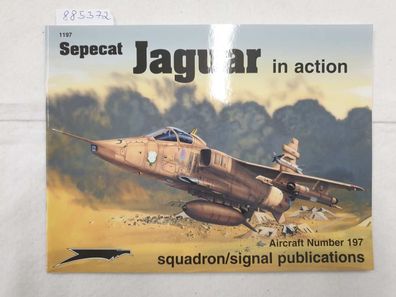 Sepecat Jaguar In Action :