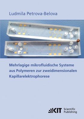 Petrova-Belova, Ludmila: Mehrlagige mikrofluidische Systeme aus Polymeren zur zweidim