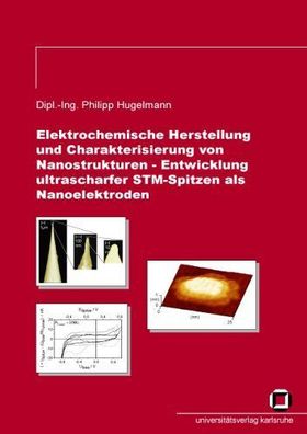 Hugelmann, Philipp: Elektrochemische Herstellung und Charakterisierung von Nanostrukt