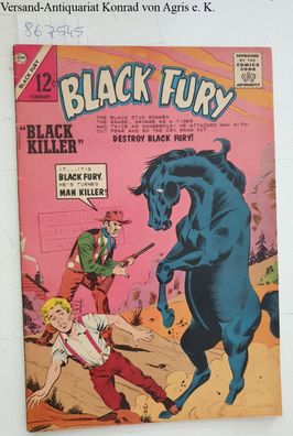 Charlton Comics Group: Black Fury No. 46 (1964) :