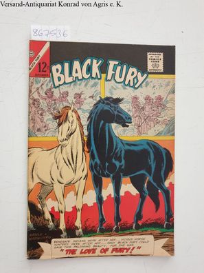 Charlton Comics Group: Black Fury No. 54 (1965) :