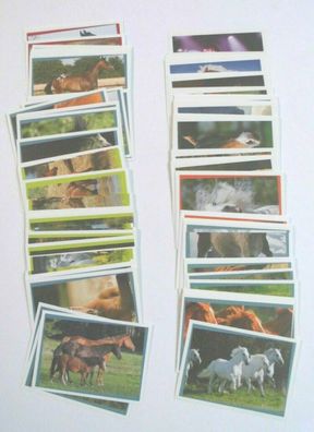 Pferde - ein wunderbares Abenteuer (2012) - 100 verschiedene Sticker