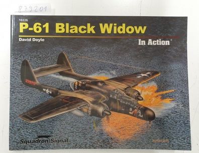 P-61 BLACK WIDOW IN ACTION