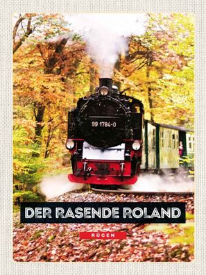 vianmo Holzschild Holzbild Spruch 30x40 cm Rügen der rasende Roland Lokomotive