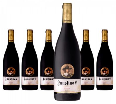 6 x Faustino V Reserva Rioja D.O. – 2018