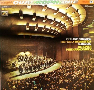 EMI 29 890-1 - Sinfonia Domestica Op.53
