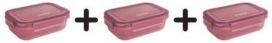 3 x Food Storage Container, Deep Rose - 800 ml.