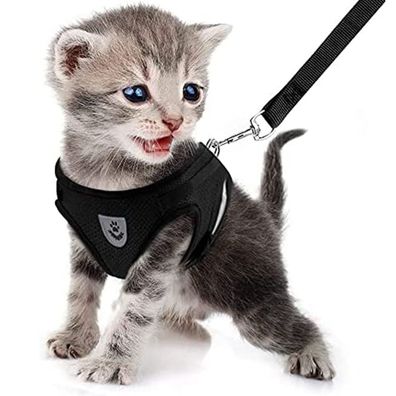 Katzengeschirr , Schwarz, Softgeschirr, ausbruchsicher XL