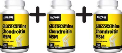 3 x Glucosamine + Chondroitin + MSM - 240 caps