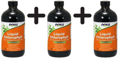 3 x Chlorophyll, Liquid - 473 ml.