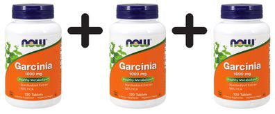 3 x Garcinia, 1000mg - 120 tablets