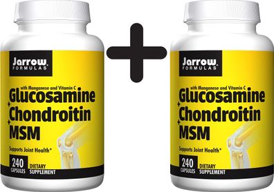 2 x Glucosamine + Chondroitin + MSM - 240 caps