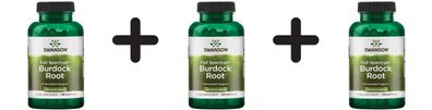 3 x Burdock Root, 460mg - 100 caps