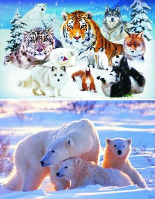TischSet 3D Wintertiere o. Eisbären Platzset 2erSet Platzdeckchen Poster Bilder Tier