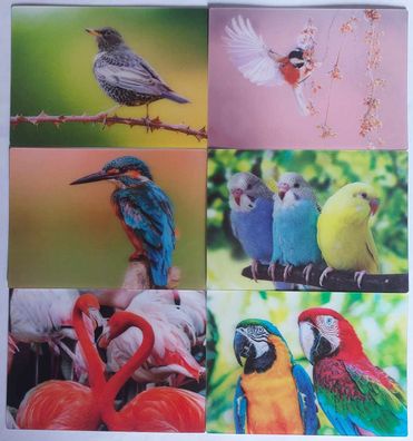 3 D Ansichtskarte Vögel Meise Eisvogel Drossel Postkarte Wackelkarte Hologrammkarte