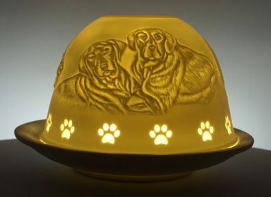 Dome Light Hunde