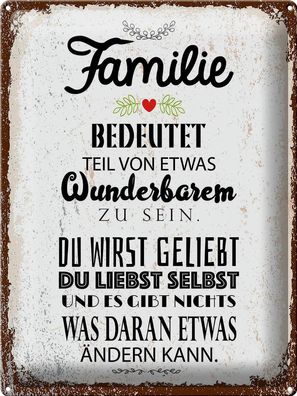 Blechschild Spruch Familie Teil von etwas wunderbarem 30x40cm Schild tin sign