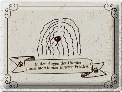 Blechschild Spruch In den Augen des Hundes Frieden 40x30 cm Schild tin sign