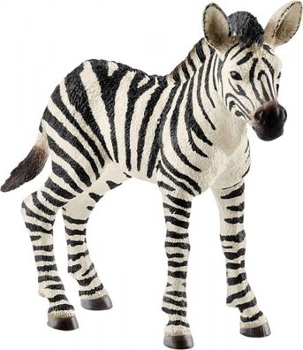 schleich® Wild Life 14811 Zebra Fohlen