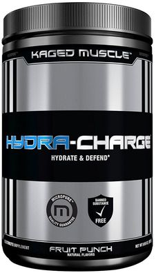Hydra-Charge, Fruit Punch - 282g