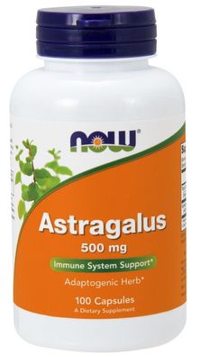 Astragalus, 500 mg - 100 caps