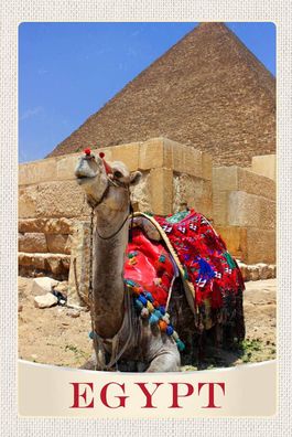 Blechschild 18x12 cm Ägypten Afrika Kamel Wüste