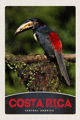 Blechschild 18x12 cm Costa Rica Central America Vogel