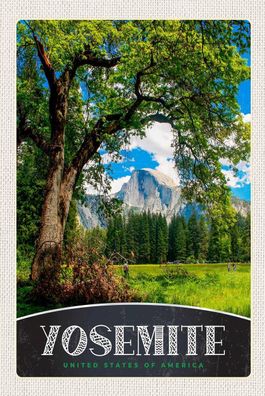 Holzschild Holzbild 18x12 cm Yosemite Amerika Bäume