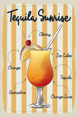 Blechschild 18x12 cm Alkohol Tequila Sunrise Cherry Orange