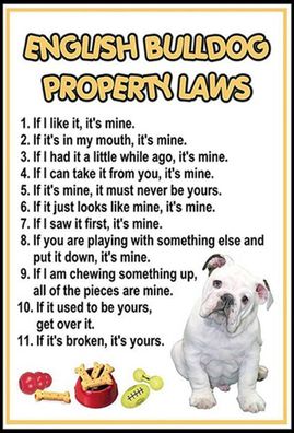 Blechschild 20x30 cm english bulldog property laws