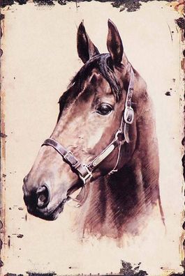 Holzschild 18x12 cm - Retro Portrait Pferd Kopf