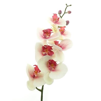 GASPER Schmetterlingsorchidee - Phalenopsis Weiß & rosa Auge 86 cm - Kunstblumen