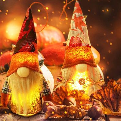FONDUO Pack of 2 Autumn Decorative Gnome with Light Thanksgiving Decoration