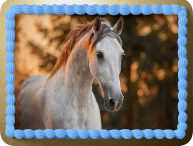 Essbar Horse Pferd Tortenaufleger Torte Tortenbild Geburtstag Zuckerbild 1