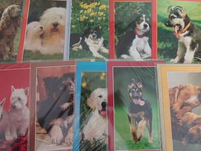 10 Grußkarten Tiere Hunde Animal World Taunus Verlag