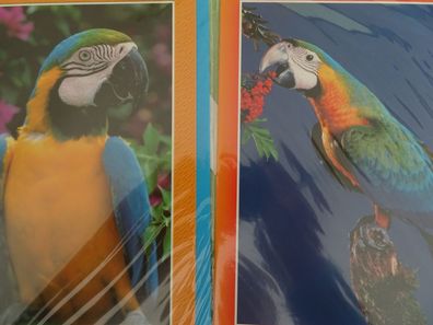 2 Grußkarten Tiere Vogel Vögel Ara Papagei Animal World Taunus Verlag