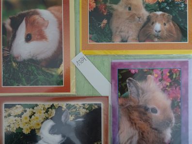 4 Grußkarten Tiere Hamster Hasen Animal World Taunus Verlag