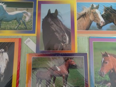 6 Grußkarten Tiere Pferde Hengst Stute Fohlen Animal World Taunus Verlag