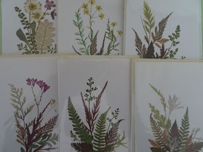 6 Grußkarten Wald-Wiesen-Blumen Farn Edelweiss Strohblumen "neutral ohne Text
