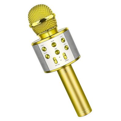 Karaoke Mikrofon, Erwachsene Karaoke Mikrofon Bluetooth