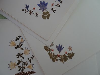 3 alte Grußkarten mit echten Trockenblumen Goldband "neutral"