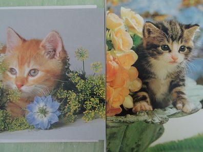 2 Grußkarten Verlag Dominique süße Katzen "Fotos" Tiere