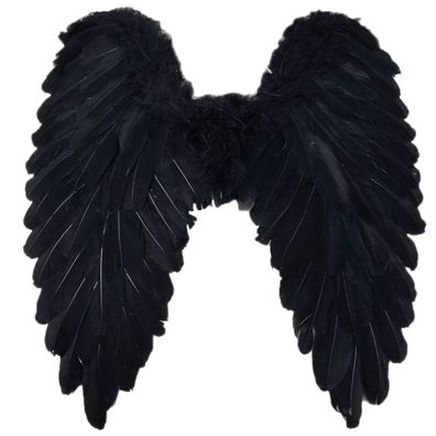 Engelsflügel schwarz 50x50 cm