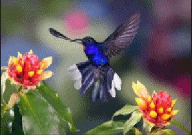 3 D Ansichtskarte Kolibri, Postkarte Wackelkarte Hologrammkarte, Tier Vogel Kolibris