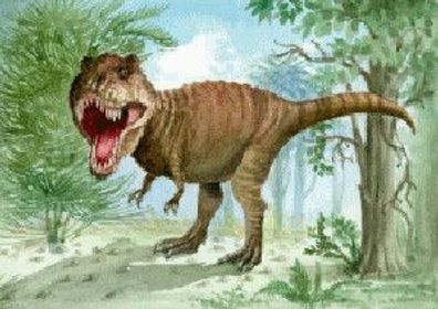 3 D Ansichtskarte T-Rex, Postkarte Wackelkarte Hologrammkarte Tyrannosaurus Dinos